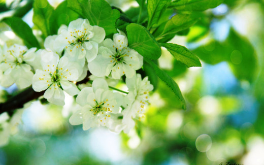 1117298 (a): :2560x1600